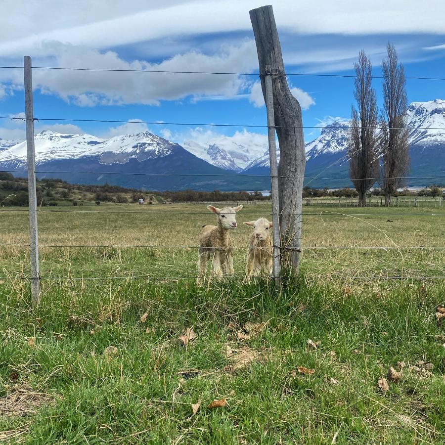 Estancia Nibepo Aike Colonia Francisco Perito Moreno Екстер'єр фото