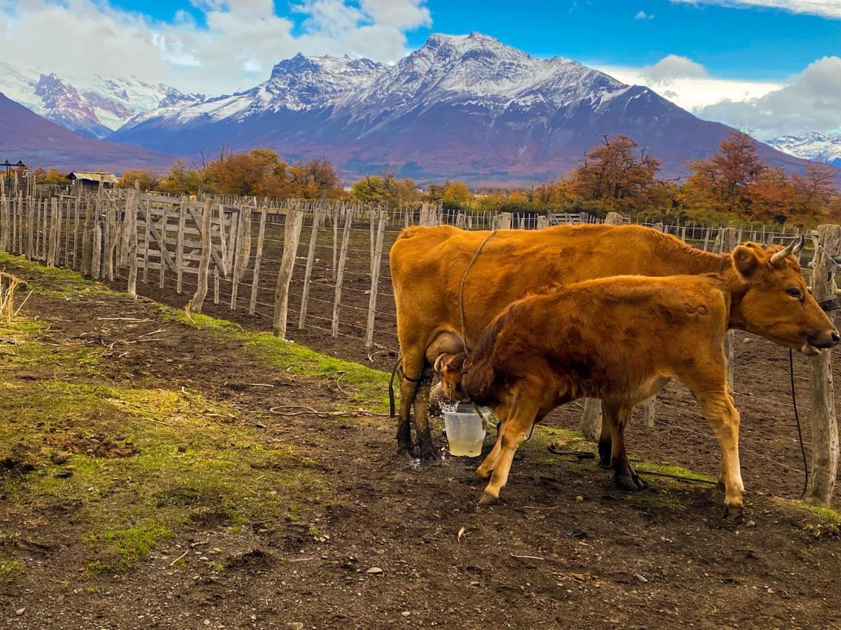 Estancia Nibepo Aike Colonia Francisco Perito Moreno Екстер'єр фото